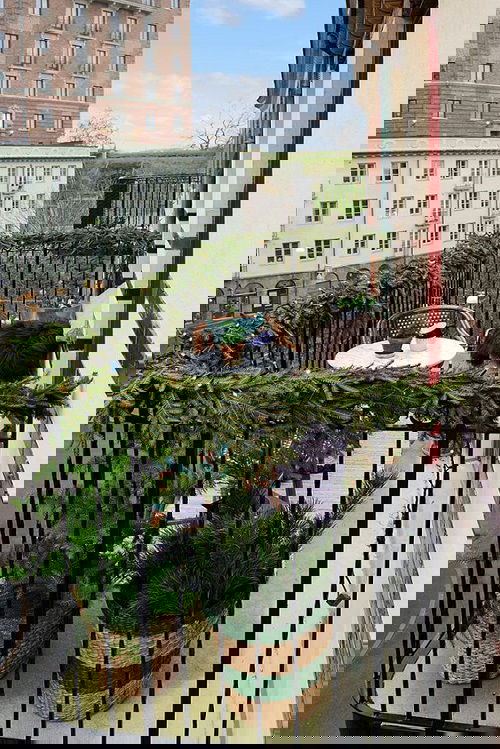 Christmas Plants in balcony