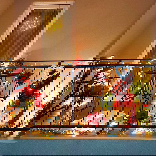 Lights and Red Plants in balcony 