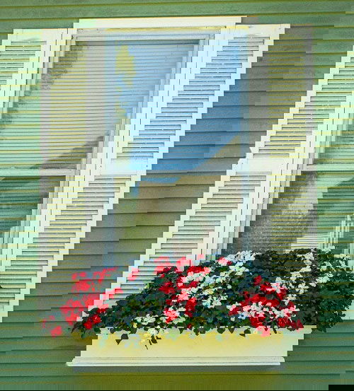 Window Boxes that you can grow in a small space