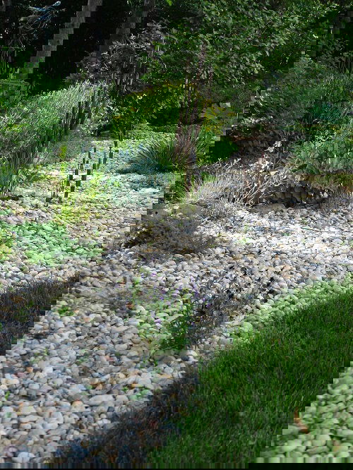 Pebbles for Landscaping
