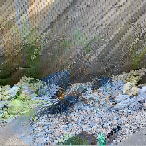 Flowerbed of Pebbles